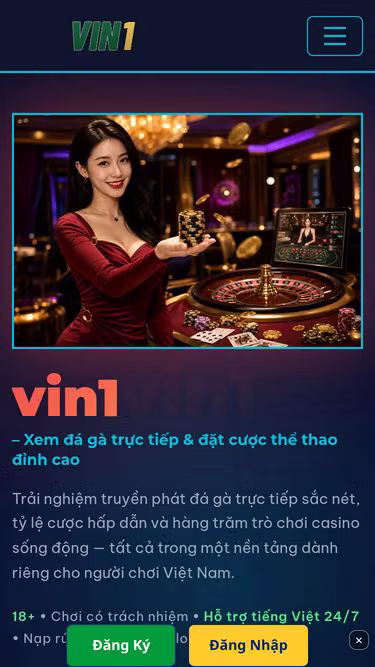 Screenshot of vin1.bar