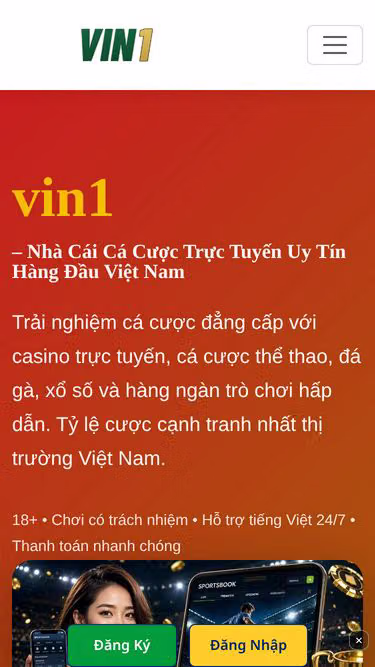 Screenshot of vin1.lat