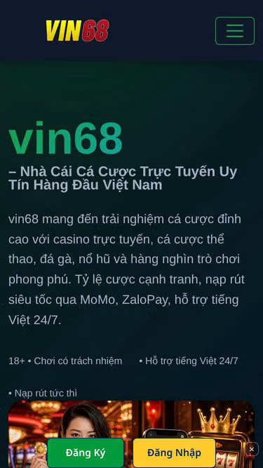 Screenshot of vin68.lat