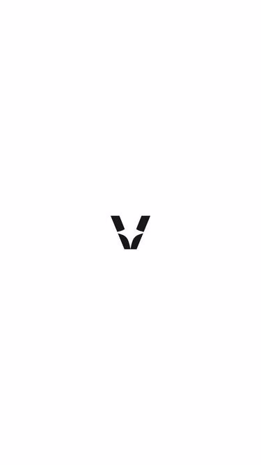 Screenshot of vincent.cash