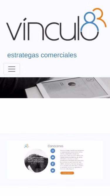 Screenshot of vinculo.mx