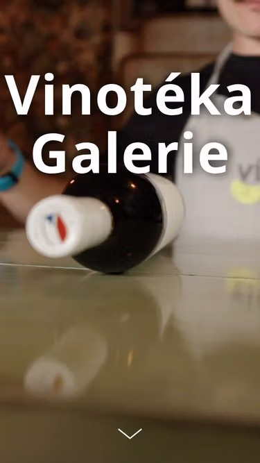 Screenshot of vinga.cz