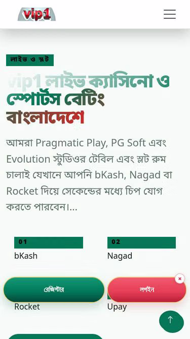 Screenshot of vip1.online