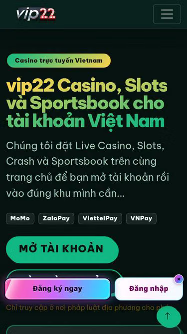 Screenshot of vip22.pro