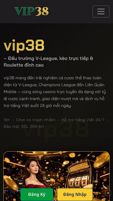 Screenshot of vip38.bar