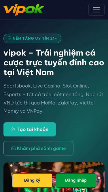 Screenshot of vipok.fun