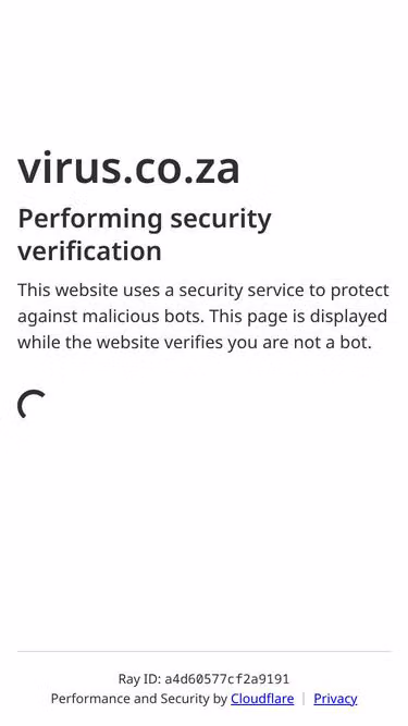 Screenshot of virus.co.za