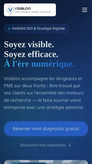 Screenshot of visibloo.nl