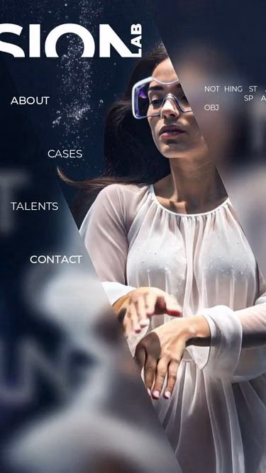 Screenshot of visionlab.cx