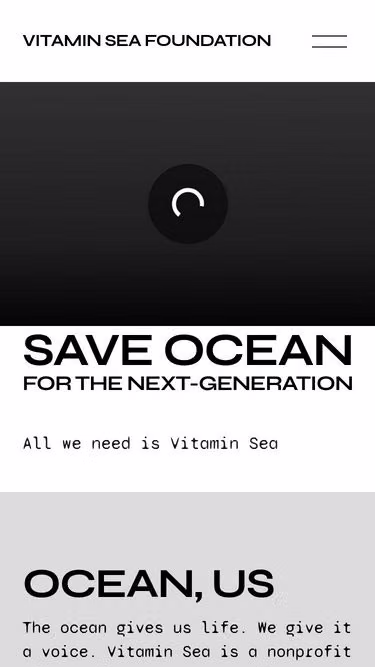 Screenshot of vitaminsea.foundation