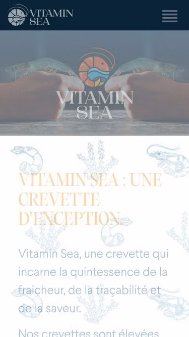 Screenshot of vitaminsea.ma