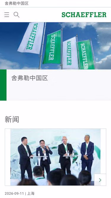 Screenshot of vitesco.cn