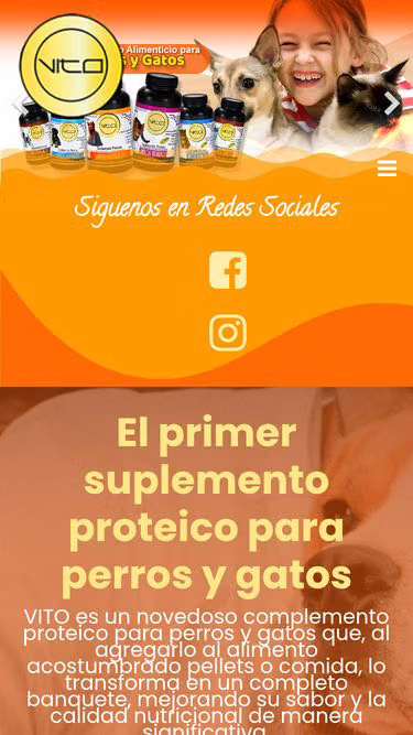 Screenshot of vito.cl