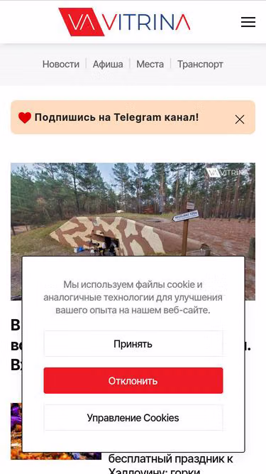 Screenshot of vitrina.pl
