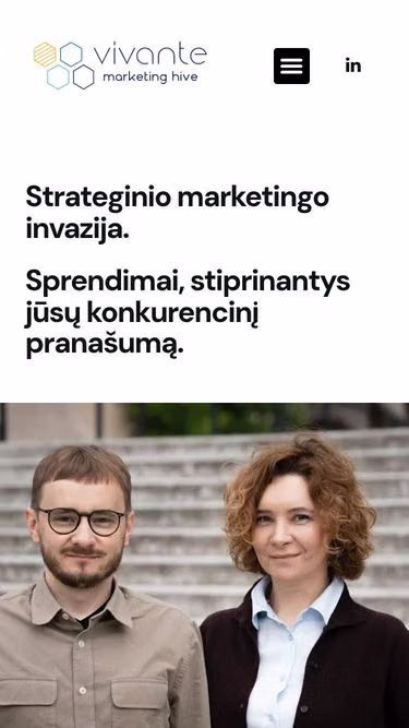 Screenshot of vivante.lt