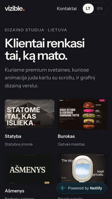 Screenshot of vizible.lt