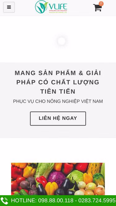 Screenshot of vlife.com.vn