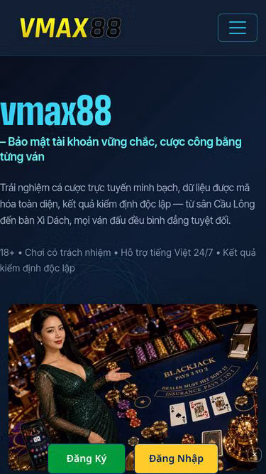 Screenshot of vmax88.cam