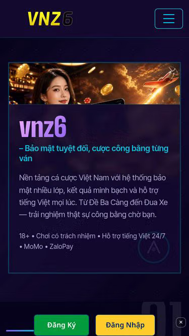 Screenshot of vnz6.cam