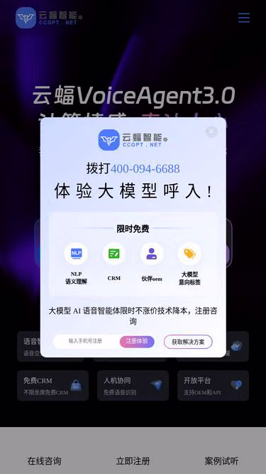 Screenshot of voiceagent.cc