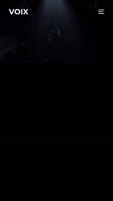 Screenshot of voix.studio