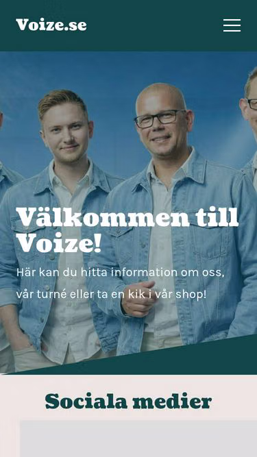 Screenshot of voize.se