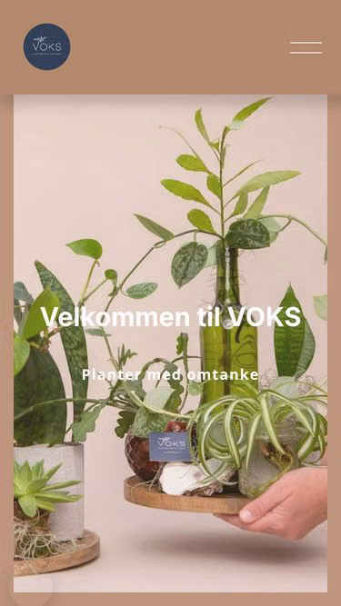 Screenshot of voks.nu