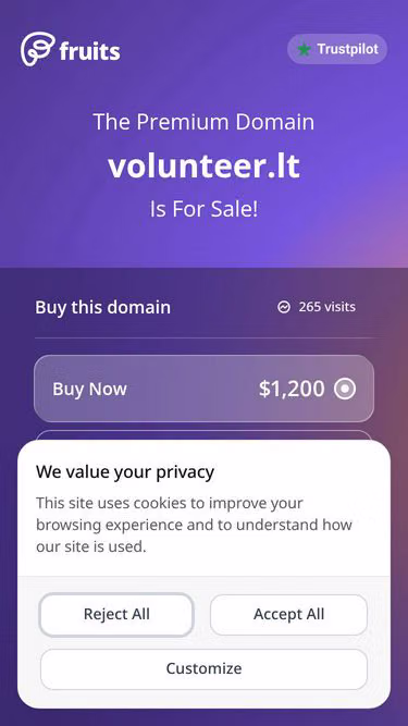 Screenshot of volunteer.lt