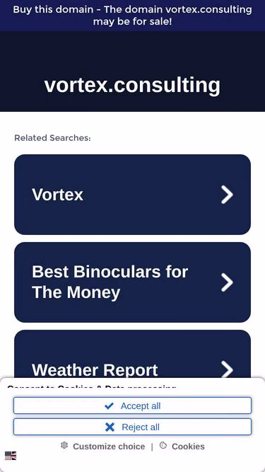Screenshot of vortex.consulting