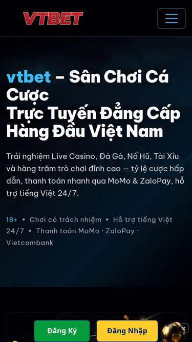 Screenshot of vtbet.io