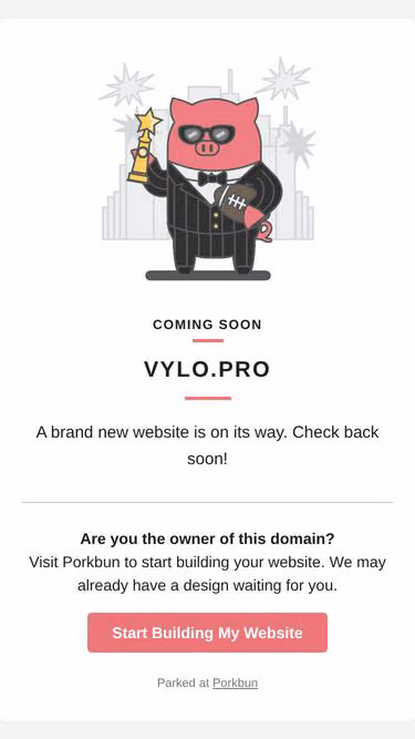 Screenshot of vylo.pro
