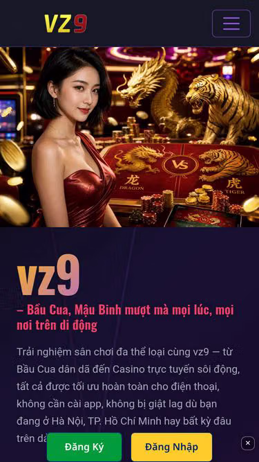 Screenshot of vz9.cam