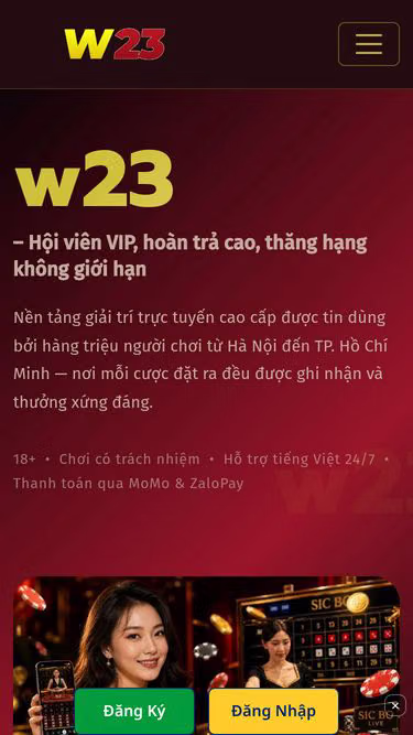 Screenshot of w23.cam