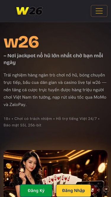 Screenshot of w26.cam