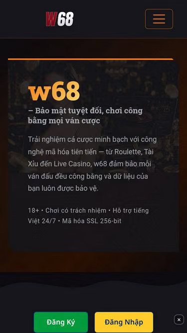 Screenshot of w68.cam