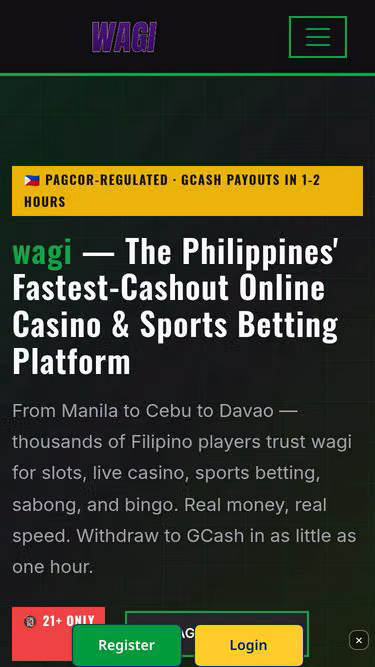 Screenshot of wagi.cam