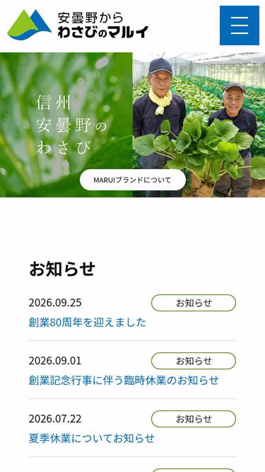 Screenshot of wasabi.co.jp