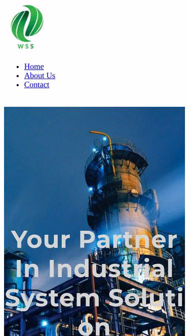 Screenshot of washin.com.my