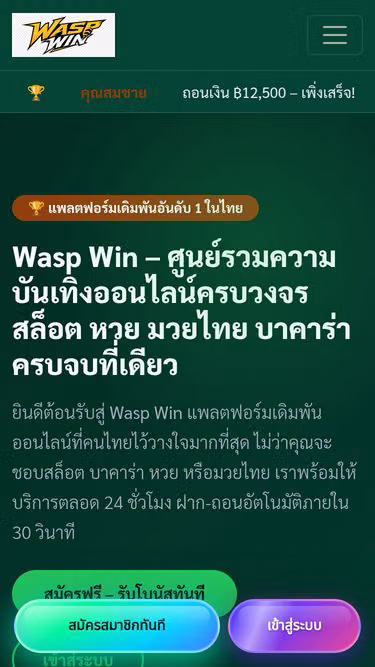 Screenshot of waspwin.im