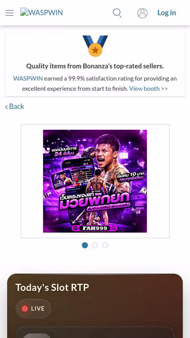 Screenshot of waspwin.org