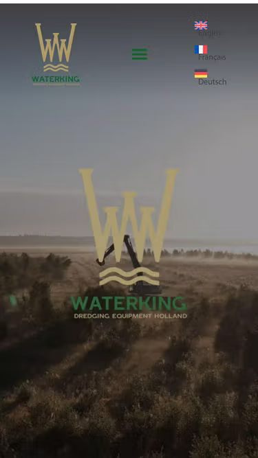 Screenshot of waterking.in