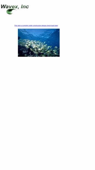 Screenshot of wavex.com