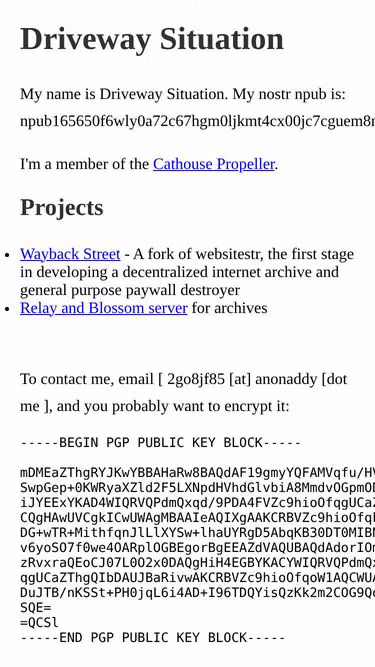 Screenshot of wayback.st