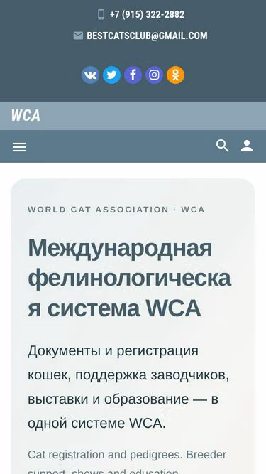Screenshot of wca.name