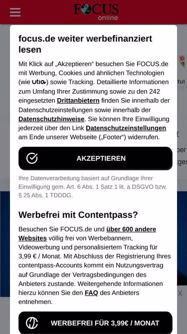 Screenshot of webfocus.de