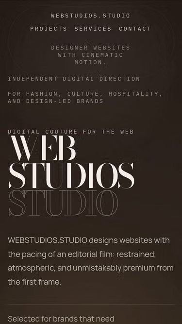 Screenshot of webstudios.studio