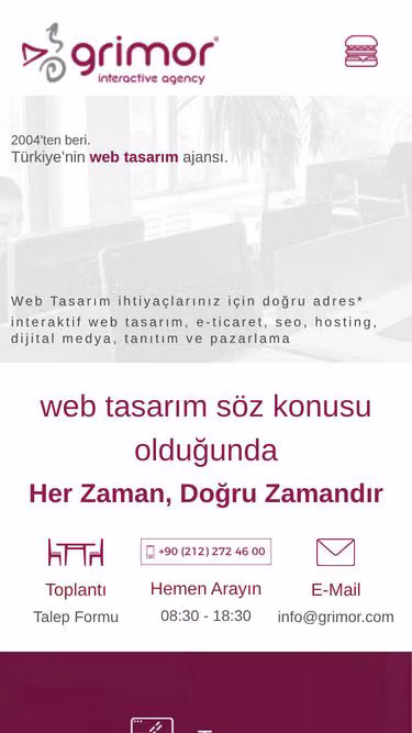 Screenshot of webtasarim.com