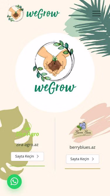 Screenshot of wegrow.az