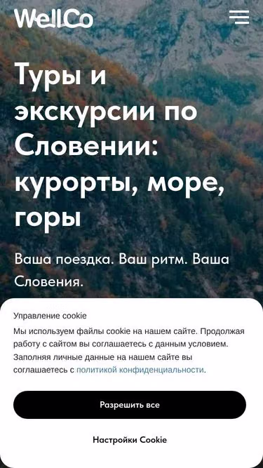 Screenshot of wellco.si