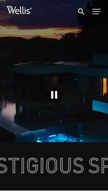 Screenshot of wellis.no